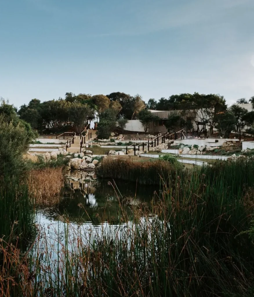 Cold Plunge Pools and Cold Therapy