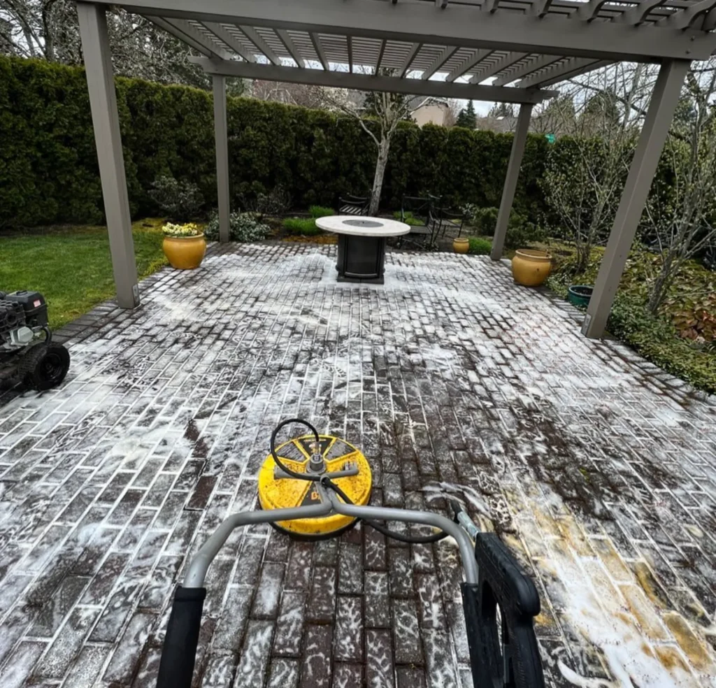 DIY Paver Cleaning