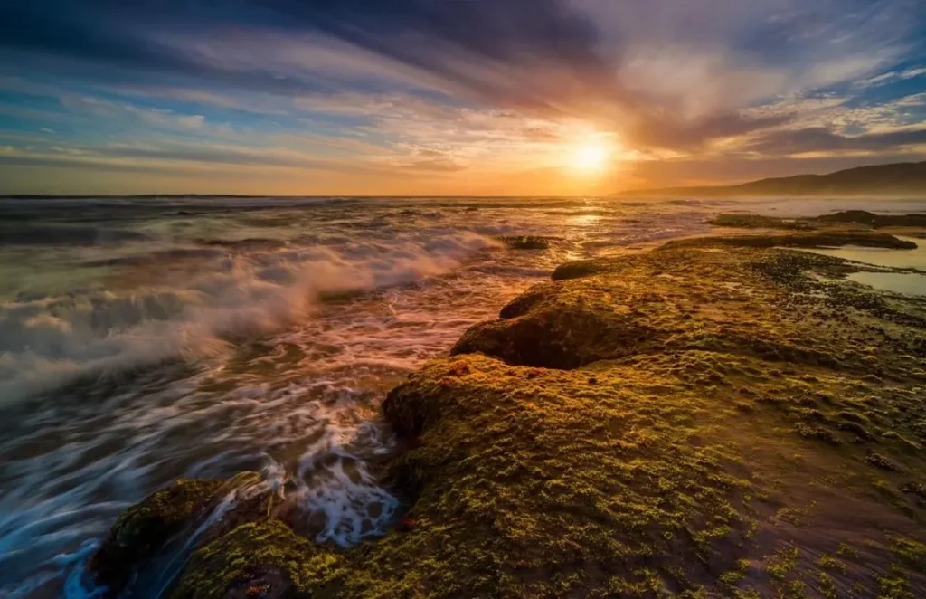 Family-Friendly Beaches Along the Great Ocean Road