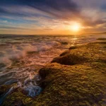 Family-Friendly Beaches Along the Great Ocean Road