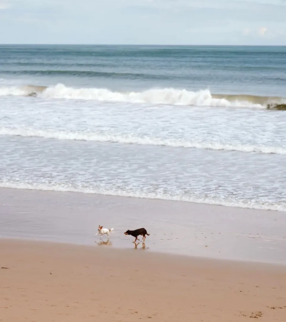 Torquay Beach