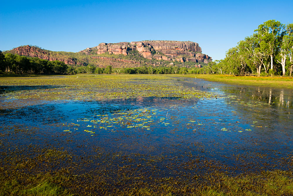 Embark on an Adventurous Journey through the Kakadu National Park on Guided Camping Excursions