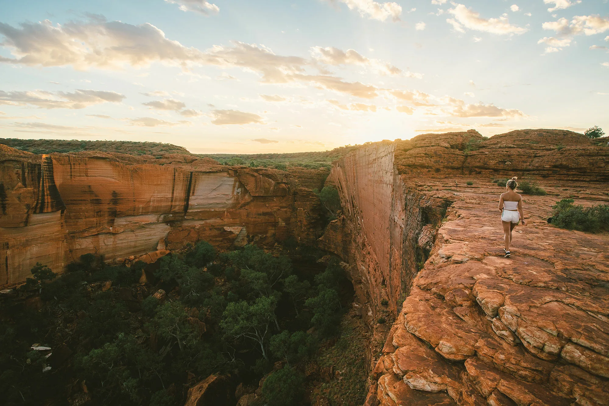 Explore the Majesty of Kings Canyon: A Tour like No Other