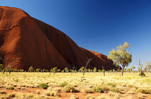 Immerse Yourself in Uluru's Splendor with a 3-Day Excursion