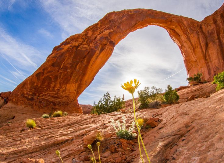 Discover the Enchantment of Kings Canyon: Your Ultimate Guide to Visiting