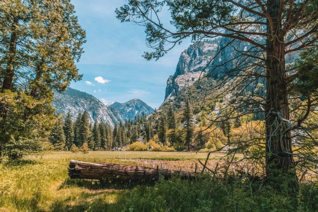 Best Season Guide for Kings Canyon National Park Visits