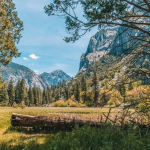 Best Season Guide for Kings Canyon National Park Visits